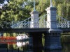 The Gardens - Swan Pond, Boston